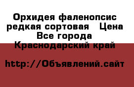 Орхидея фаленопсис редкая сортовая › Цена ­ 800 - Все города  »    . Краснодарский край